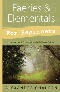 Faeries and Elementals for Beginners For Discount