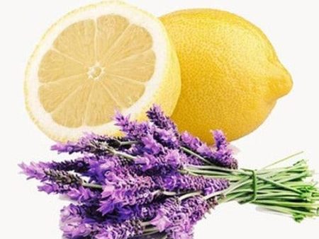 Lemon Lavender Diffuser Oil Refill Fashion