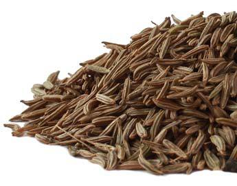 Caraway Seed For Sale