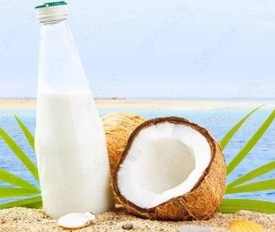 Beachy Coconut Milk Diffuser Refill Online Hot Sale