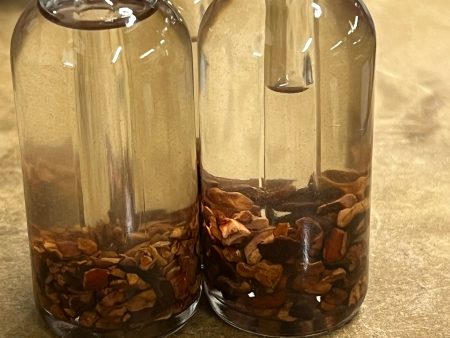 Cacao Nib Oil Online