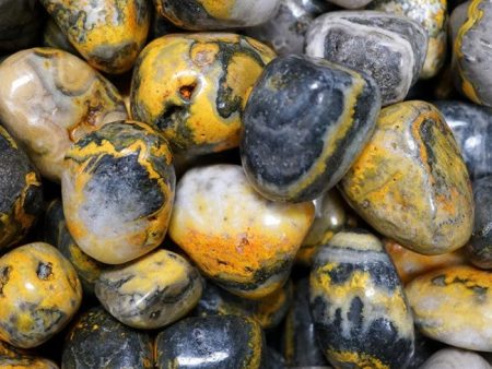 Bumble Bee Stone, Tumbled For Discount