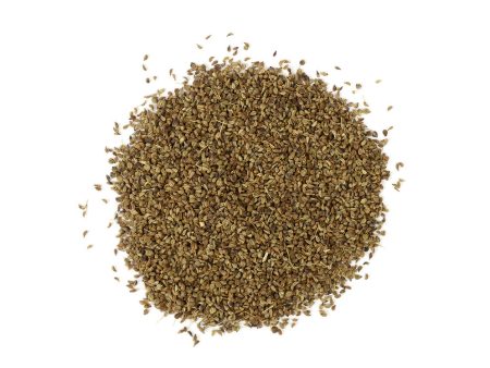 Anjwain Seed Whole (Organic) Hot on Sale